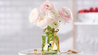 moccona jar inspiration decorative vase teaser